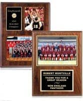 plaques sports plaques corporate plaques crown trophy signs