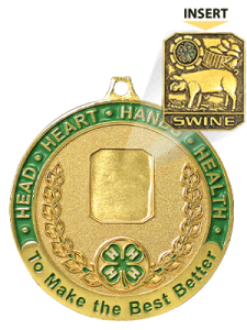 4H insert medal