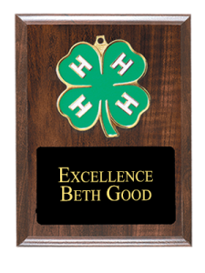 2014HM Plaque
