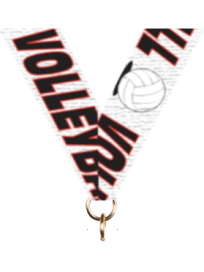 RISMVOO Volleyball