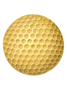 PNCNGF