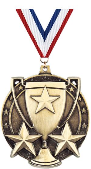Search Results::Achievement - 09VIRG