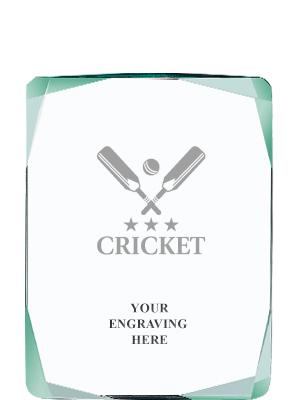 Search Results::Cricket - 117