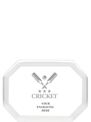 Search Results::Cricket - 101