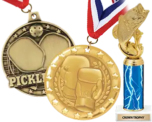 All Sports
