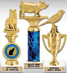 Trophies