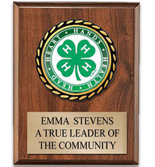 Plaques