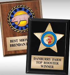 Plaques