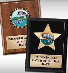 Plaques