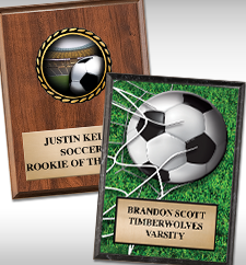 Plaques