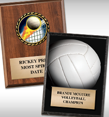 Plaques